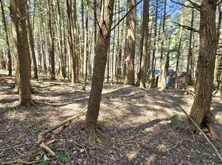 125 Deer Ln, Margaretville, NY 12455