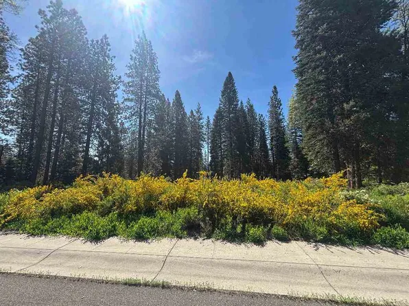 LOT 37 Panther Meadow Dr, McCloud, CA 96057