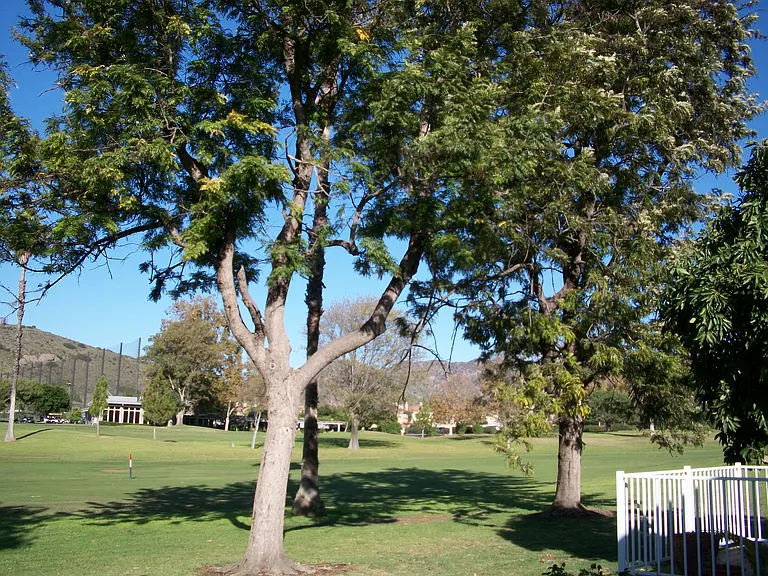 View from Living Room and Patio