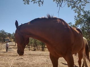 3501 Perla Rd, Igo, CA 96047