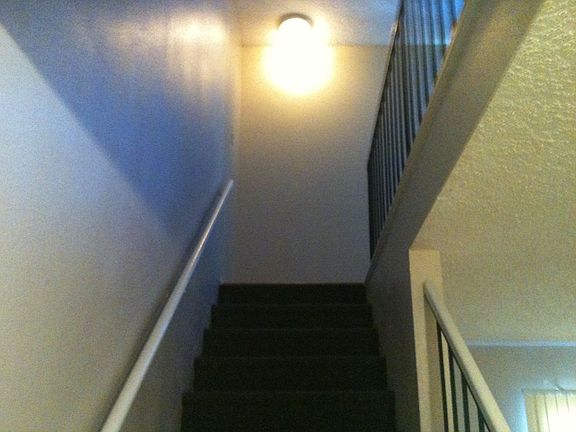 Stairs to Loft