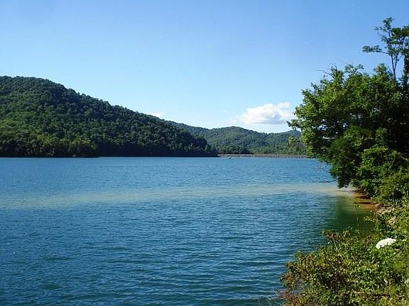 4th image of Dogwood Dr