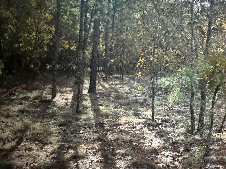 2nd image of Tbd Fox Road