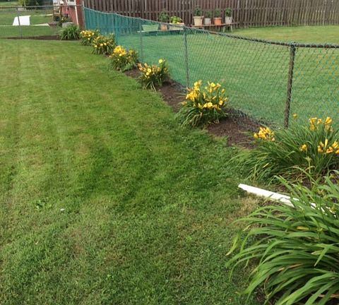 Side Yard