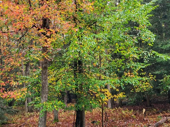 E12 Blue Spruce Rd, Albrightsville, PA 18210