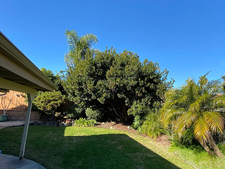 4230 Trieste Dr — Photo 2