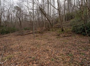 Tbd Laurel Rd, Mountain City, TN 37683