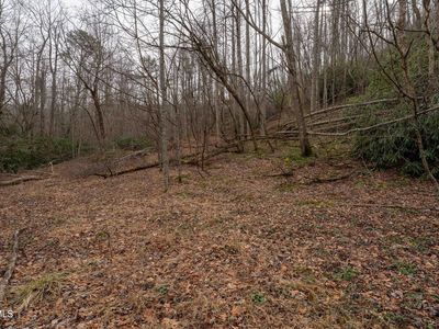 Tbd Laurel Rd, Mountain City, TN, 37683
