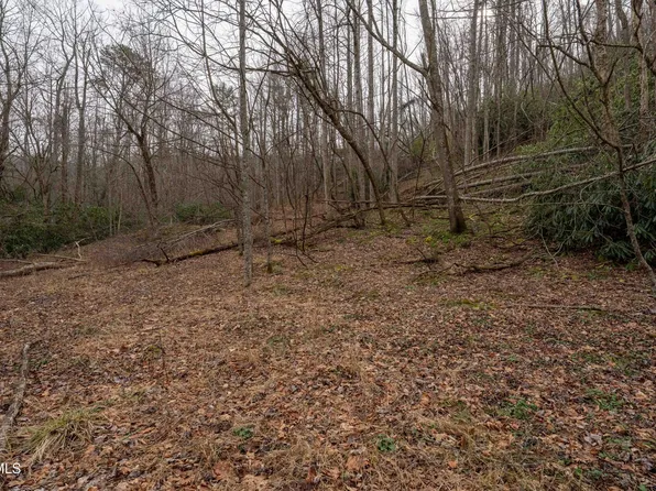 Tbd Laurel Rd, Mountain City, TN 37683