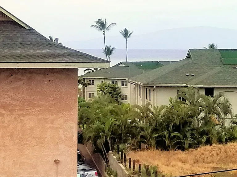 2136 Konou Pl #201 — Photo 12