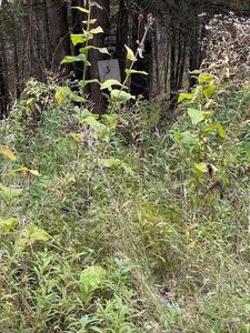 129 Winding Hill Road, Saint Albans, ME, 04971