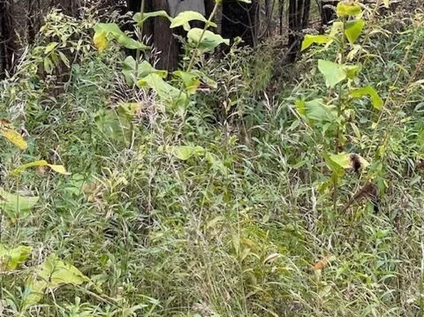 129 Winding Hill Road, Saint Albans, ME 04971