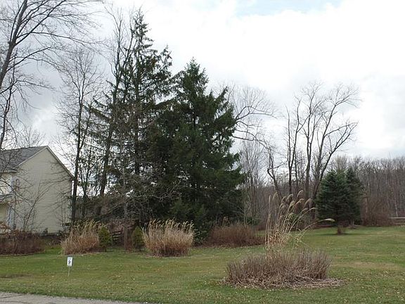 3rd image of 10763 Forest St
