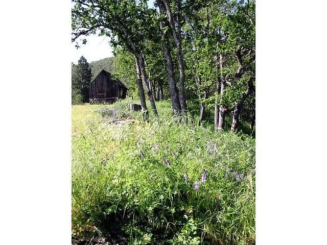 105 Westwood St photo 1