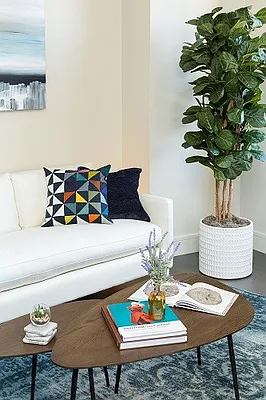 Rented by Triumph Property Group | media 9