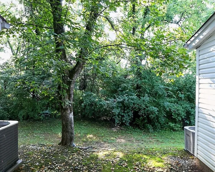3093 Harpeth Springs Dr — Photo 14