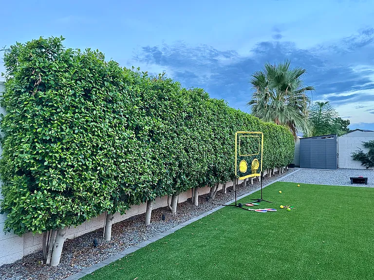 Private Backyard Oasis: 
Beautiful lush green Backyard