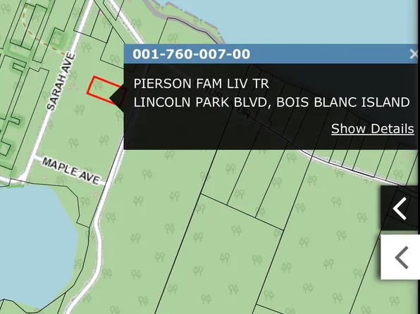 18 Lincoln Park Blvd, Pointe Aux Pins, MI 49775