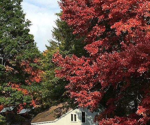 ADU East Side Entrance