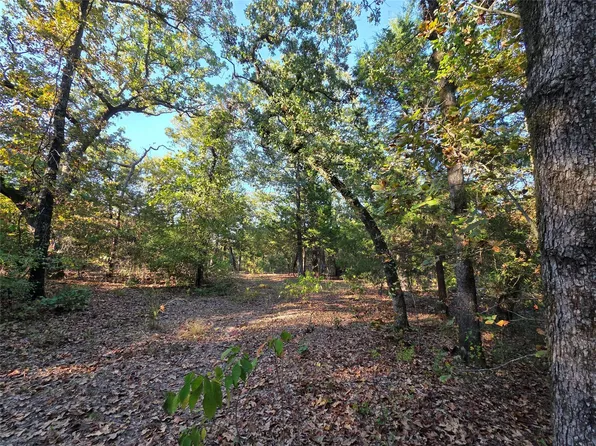 LOT 466 County Road 4710 Lot 466, Larue, TX 75770