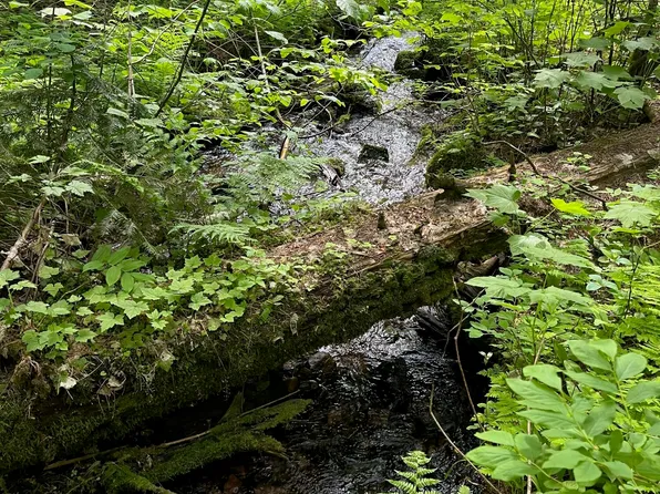 1531 Upriver View Dr, Fernwood, ID 83830