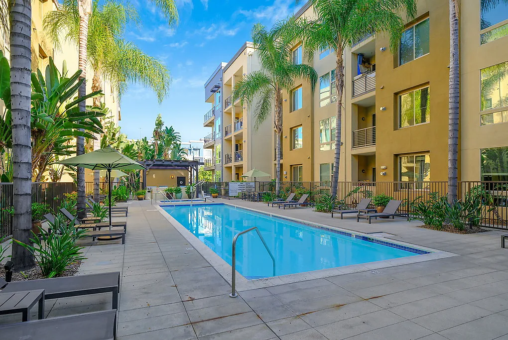 Reveal — Photo 2