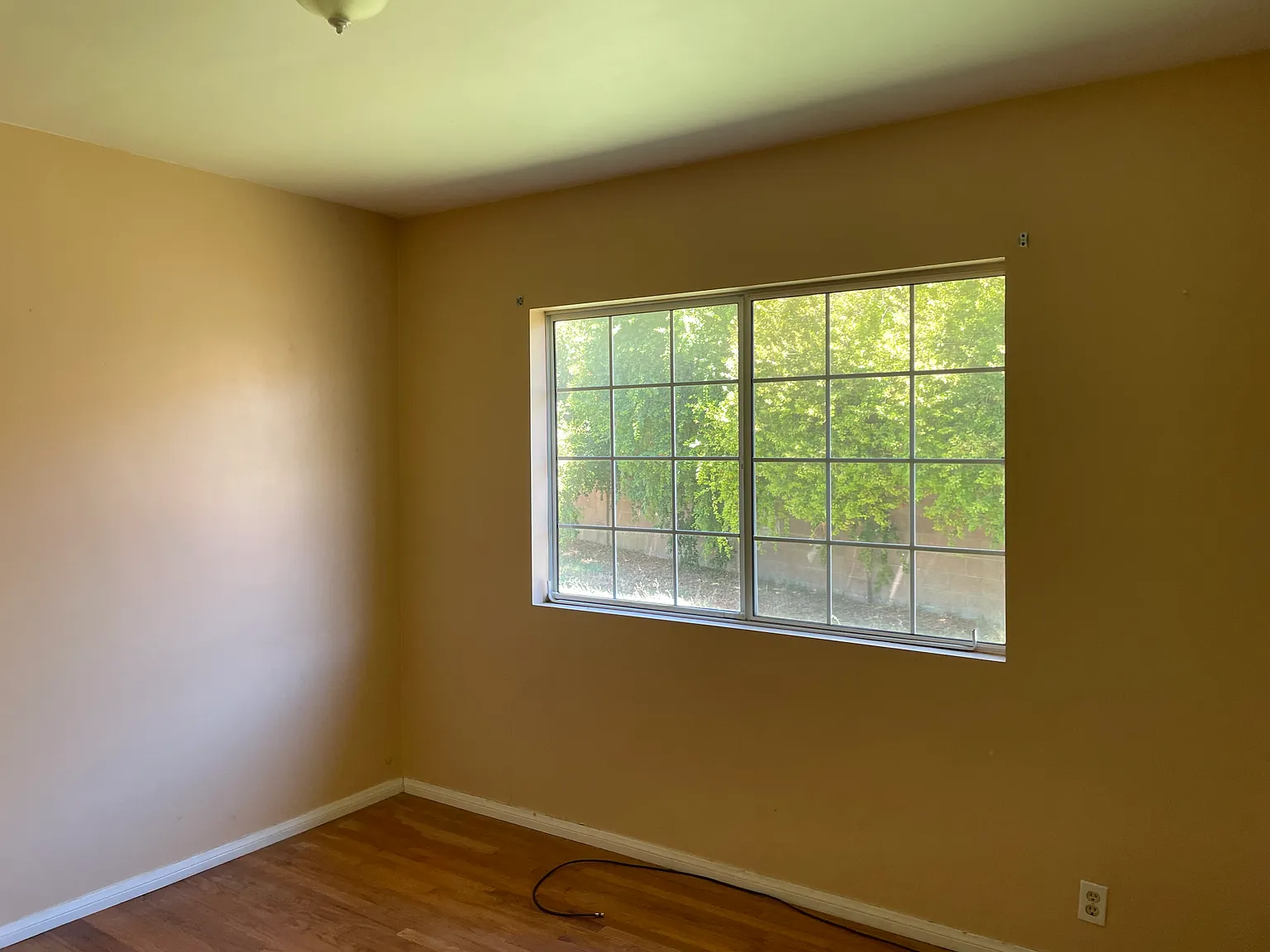 4 bed, 1458 sqft, $3,850 — Photo 3