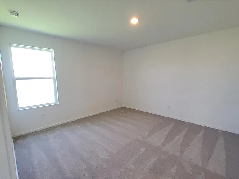 26810 Scarlet Willow Dr — Photo 19