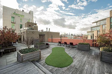 Rented by Bold New York