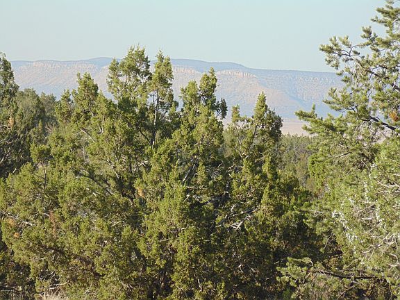 5th image of 29338 Stagecoach Ln