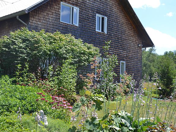 No-maintenance cedar shingle