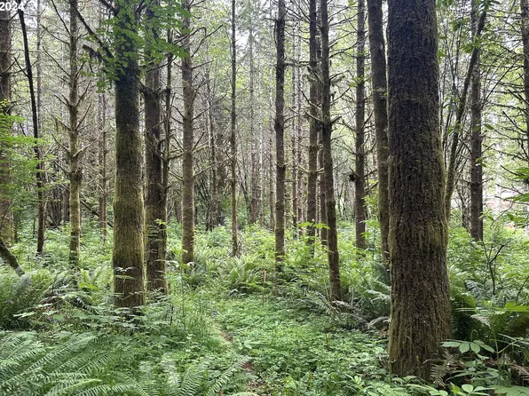 Vl Hillcrest Loop, Astoria, OR 97103