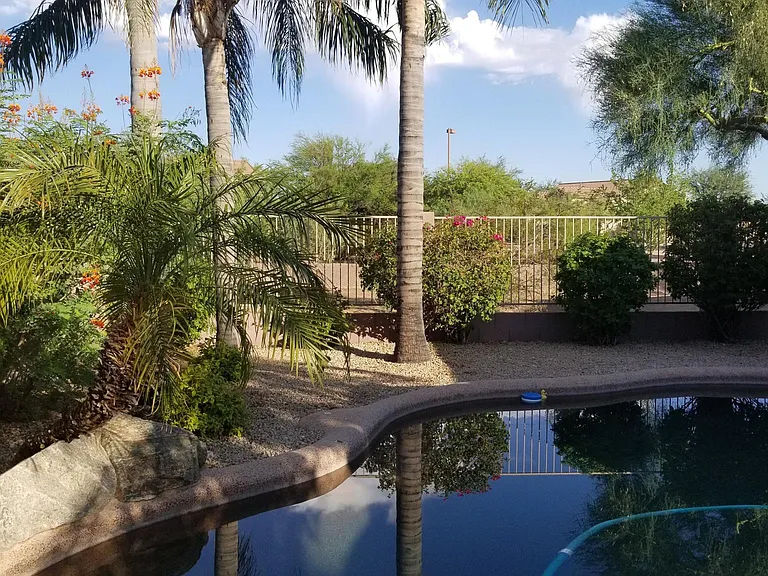 Private oasis