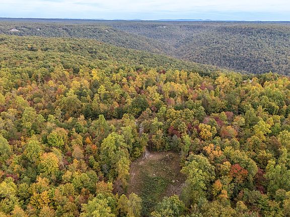 3rd image of 592 Cumberland Cove Rd