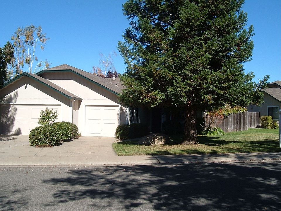 Front of the house, with 4 mature redwood trees