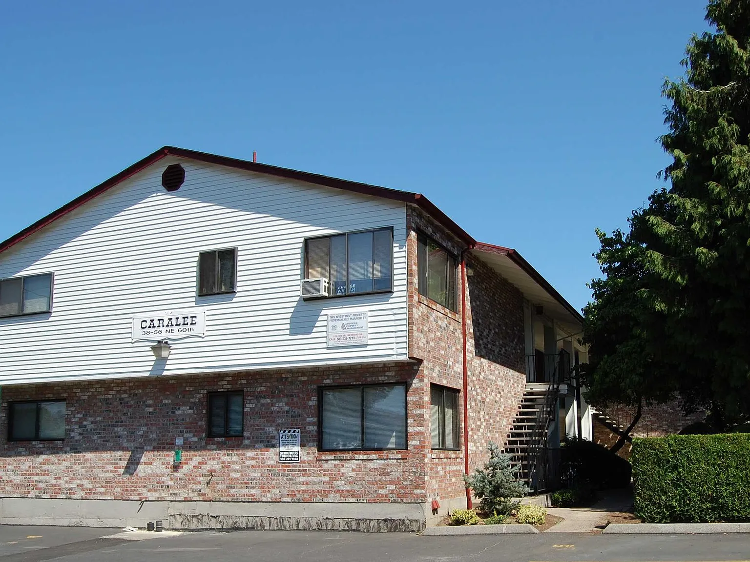 Caralee — Photo 1