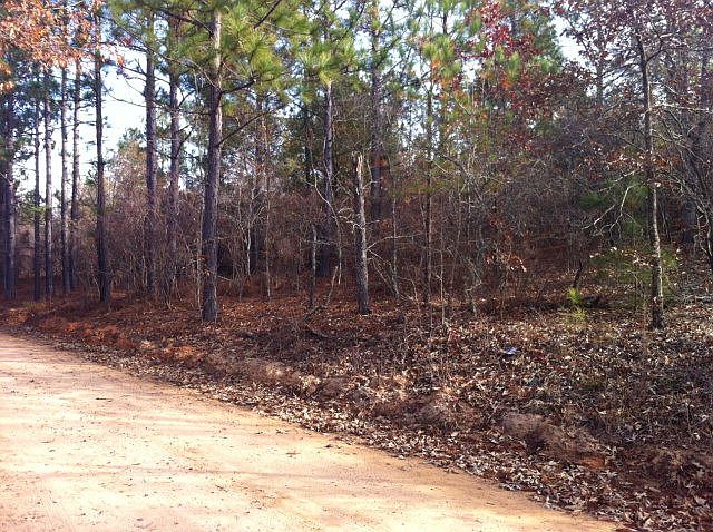 1st image of LOT 3 Bluffwood Rd