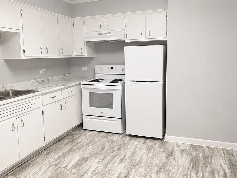 10006 S Kedzie Ave #6 — Photo 3