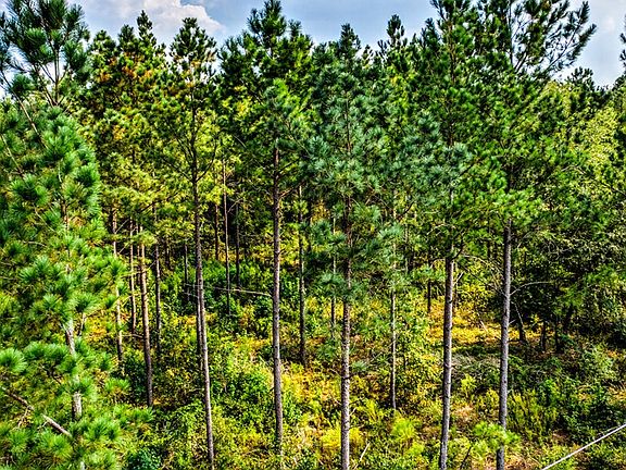 5th image of 00 Woodland Dr