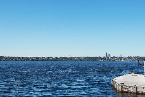 actual dock view