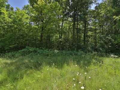 TRACT Olander Rd #D, Crosby, MN, 56441