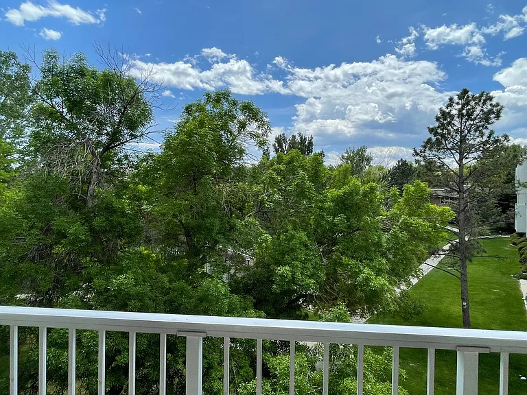Golden Cir — Photo 11