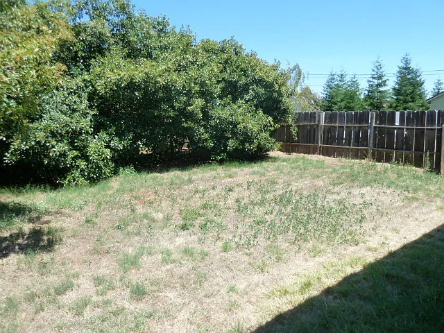 2250-2252 Suzette Ave — Photo 11