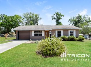36437 Bristol Cir, Grand Island, FL 32735