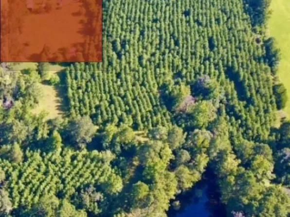 Miller County #5, Doddridge, AR 71834