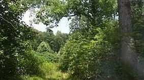 1st image of 136 Brook Hollow Cir