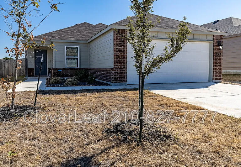 227 Stevens Smt — Photo 12