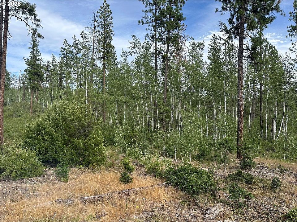 1st image of LOT 5 Greyback Mountain Road 5