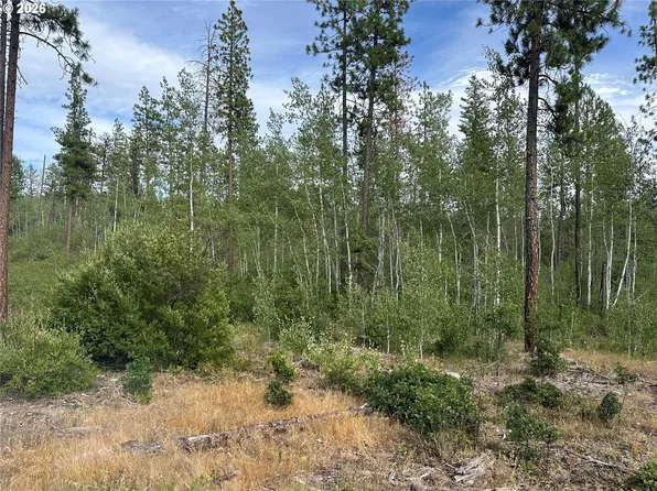 LOT 5 Greyback Mountain Road 5, Goldendale, WA 98620