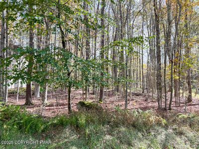 Maxatawny Dr #4, Pocono Lake, PA, 18347